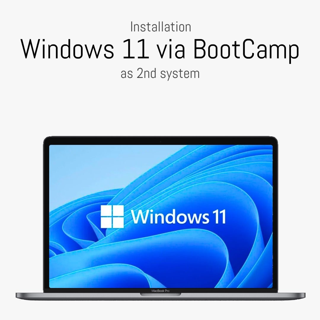 Install Windows 11 as 2nd system